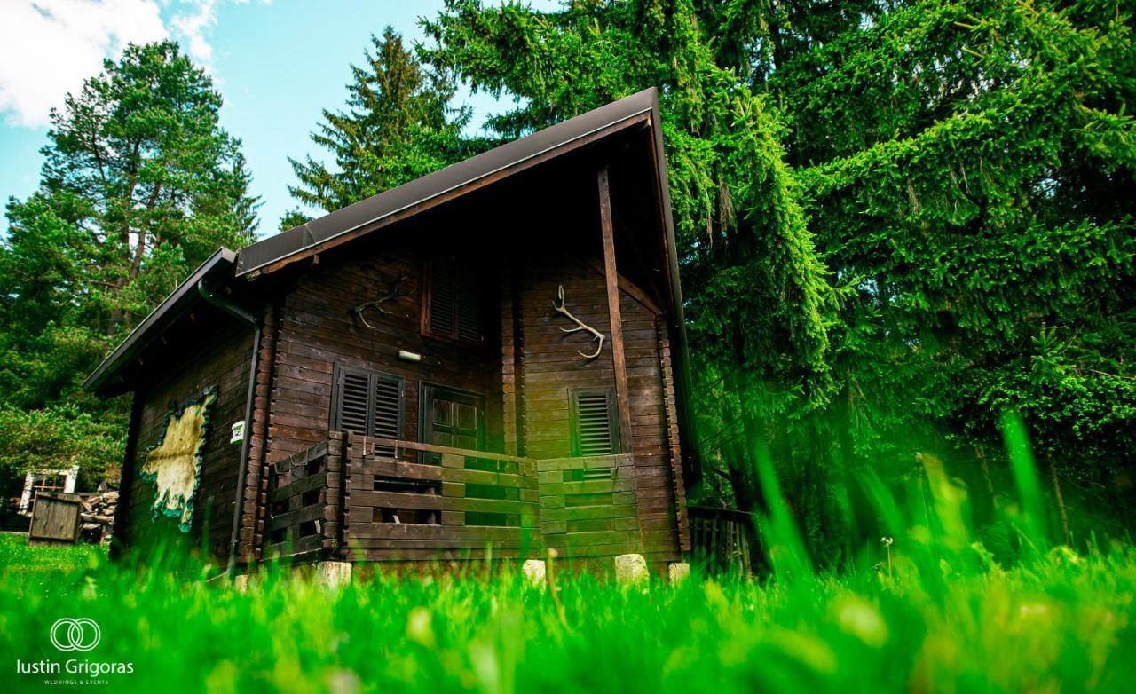 Pensiunea Vanatorul Vatra Dornei Exterior photo